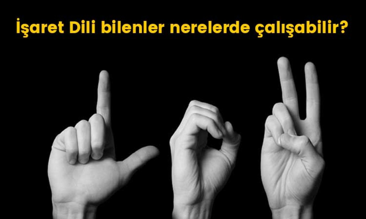 İşaret dili bilenler nerelerde çalışabilir?