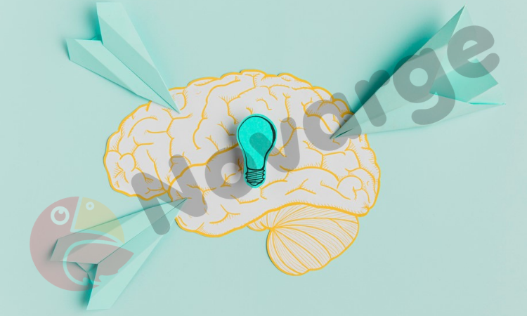 Bilimsel Olarak Desteklenmiş Beyin Sağlığını Geliştiren 4 Yöntem