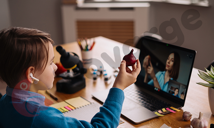 Çevre Dostu Uzaktan Eğitim Modeli