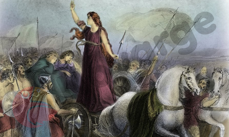 Novarge Uzaktan Eğitim Merkezi