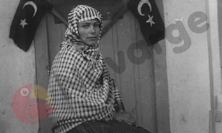 Novarge Uzaktan Eğitim Merkezi